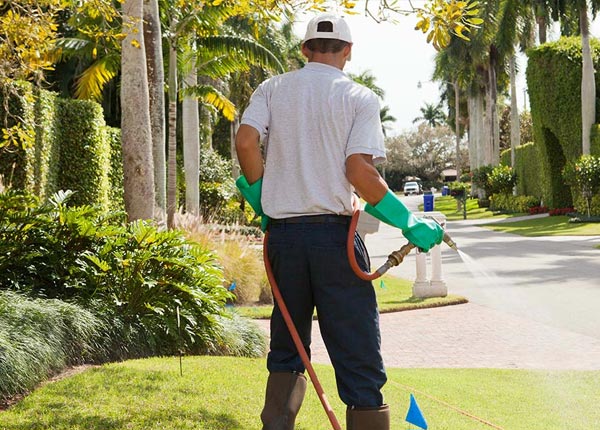 About Brownell KS Pest Control